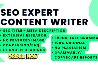 be your SEO content writer, blog post writer and article writing