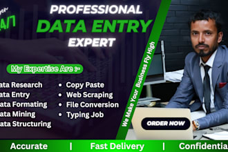 fast data entry, data extraction, and web research services