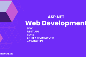 develop and fix web applications in asp dot net core
