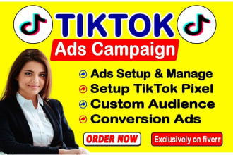 setup tiktok video ads, tiktok video ads campaign and tiktok ads manager