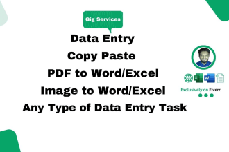 do data entry data collection data mining copy paste excel typing convert PDF