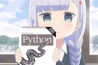 teach you how to program with python