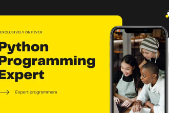 be your python programming expert