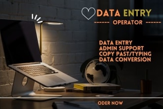 do a professional data entry logo