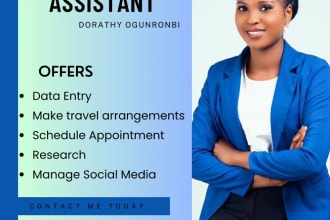 do virtual assistant, data entry and admin support