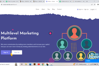 provide you a professional MLM or PTC website with script