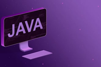 professional java and python programmer unleashing the power of code