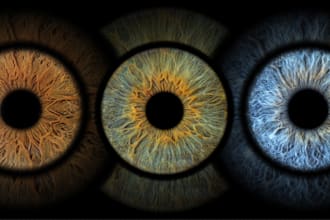 create an unique iris art for you