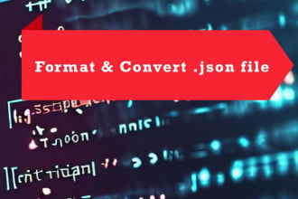 professional json file formatting services