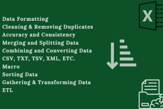 do excel data formatting and cleaning