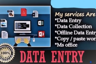 do fast typing job, retype pages, PDF to word, fast typist