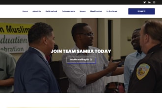 build author website, politics website, landing page in wordpress, squarespace