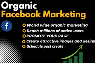 do facebook marketing, promote fb page, and social media management