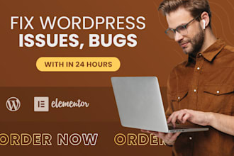 fix elementor errors, responsive issues, header footer problems, builder errors