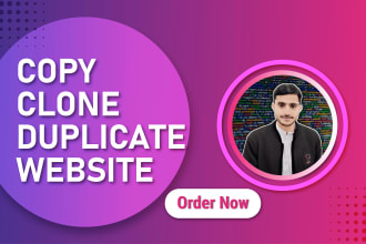 clone copy or duplicate website for you