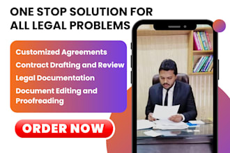 professional agreement and contract and expert legal documentation