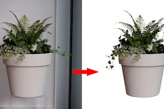 make pure white background of your images