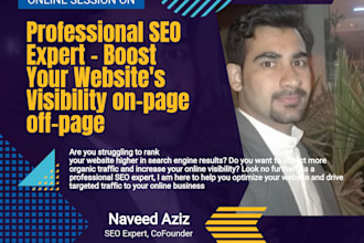 professional SEO expert boost your websites visibility