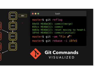 help you to do the git set up