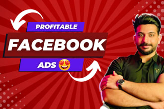 be your facebook and instagram ads campaign manager