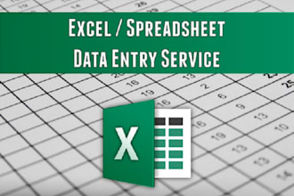 do data entry, excel, clean, merge, split, organize leads big excel data files