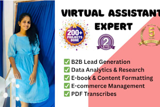be your virtual assisstant for data entry and web research