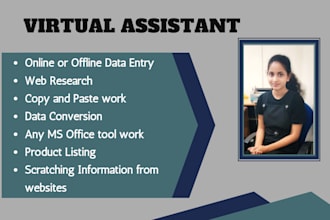 be your virtual assisstant for data entry and web research