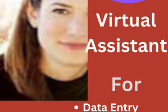 do excel data entry, contact list, data collection, copy paste, web scrap