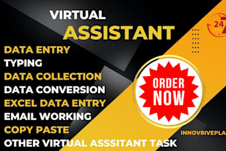 be your virtual assistant for administrative and personal tasks