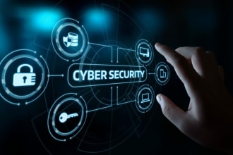 provide cybersecurity services including  api hooking poc creation and research