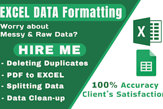 do professional excel sheet formatting and cleanup