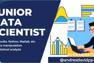 be your junior data analyst