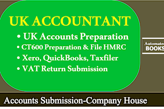 prepare UK statutory accounts and corporation tax return ct600