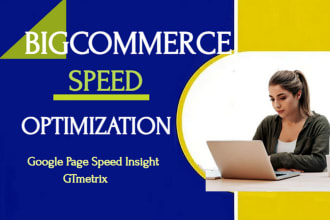 speed up bigcommerce store for google pagespeed insight within 24 hours
