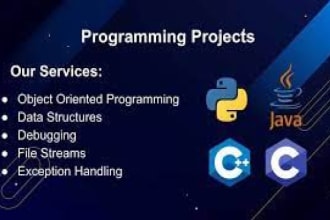 complete your c, c sharp, cpp and  java projects