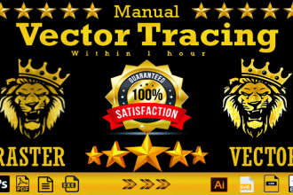 do vector tracing or convert to vector quickly