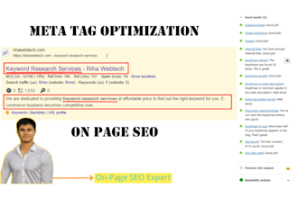 do meta tag and onpage SEO optimization for your site