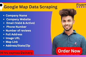 provide scraping google map service for business leads