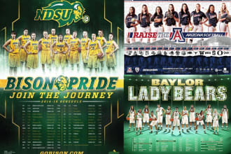 design a professional team, group sport flyer or banner