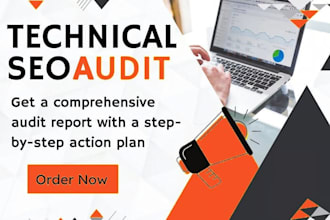 provide you professional website SEO audit report