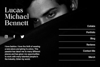 perfect wordpress website developer