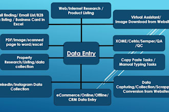 do data entry and copy paste job