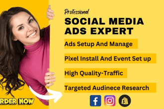 setup your targeted facebook and instagram ads campaigns