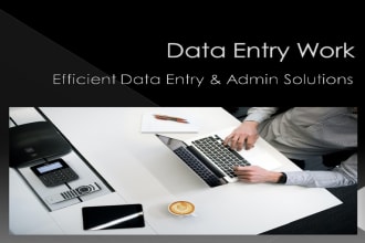 do efficient data entry and admin solutions