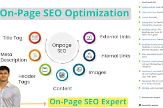 provide best on page SEO services