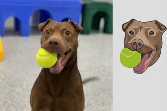 convert your pet or logo into embroidery dst, pes, or pfx