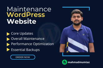 provide wordpress website maintenance and support solutions
