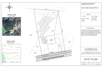 deliver the site plan in autocad without delay