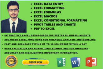 sort,clean,format big excel data, excel formulas, macros, pdf and picture typing