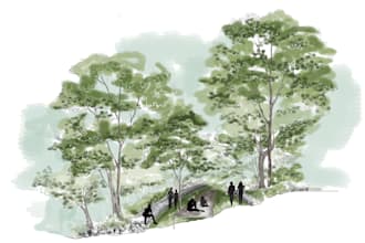 draw landscape architectural perspective and section